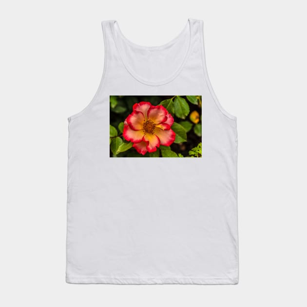 Wild Rose Sunrise Tank Top by nikongreg